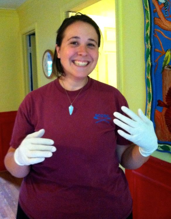 Pre-work shot: the gloves are to protect me from the chemicals in the sealer 